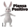 @lexa
Piensa
Positivo