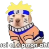 PERRITO PACK 9 16