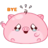 BYE HE D C