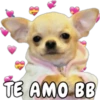 TE AMO BB