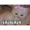 Gatos UwU🐈🍃💜 24