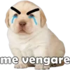 PERRITO PACK 9 18