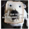 Perritos☆♡ 2 22