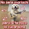 Perritos Con Frases Pendejas 21