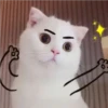 Mas Gatitos [PM] 21