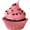 Food - Cupcakes 23