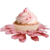 Food - Cupcakes 24