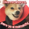 Perritos Con Frases Pendejas 23