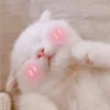 Mas Gatitos [PM] 27