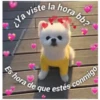 Perritos☆♡ 2 25