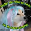 Perritos Con Frases Pendejas 25