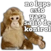 no lupe
esto
yase
salió de
kontrol
@BOSHADDER