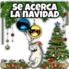 se ACERCA
LA NAVIDAD
t JØRGE