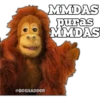 MMDAS
puras
MMDAS
@BOSHADDER