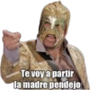 Te voy a partir
la madre pendejo
TeamSpidey