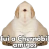 PERRITO PACK 9 24