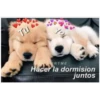 Perritos☆♡ 2 30