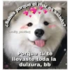 Perritos☆♡ 5