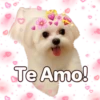 Suaves Lomitos Perritos Pack 8