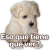 Suaves Lomitos Perritos Pack 9