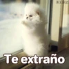 Suaves Lomitos Perritos Pack 10