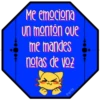 Me
emociona
un montón que
me mandes
notas de voz
Persy