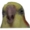 Random 2 7