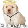 Modo cristooo