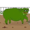 PEPE 3 8