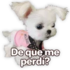 Suaves Lomitos Perritos Pack 13
