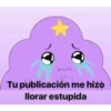 Tu publicación me hizo
llorar estupida