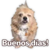Suaves Lomitos Perritos Pack 15