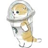 ⓻ Gatitos Hermosos 8