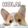 Suaves Lomitos Perritos Pack 16