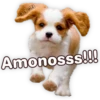 Suaves Lomitos Perritos Pack 17
