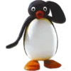 PINGU 10