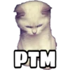 CATS 5
