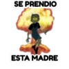 los que todos quieren 12