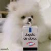 vanesa
Juguito
de clorox
CLOROX