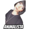 ANIMALISTA