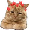 CATS 9