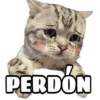 CATS 10