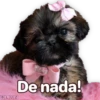 Suaves Lomitos Perritos Pack 19
