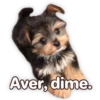 Suaves Lomitos Perritos Pack 20