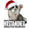 CATS 11