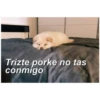 Perritos☆♡ 24