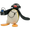 PINGU 14