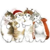 ⓻ Gatitos Hermosos 12