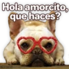 Suaves Lomitos Perritos Pack 22