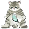 ⓻ Gatitos Hermosos 16